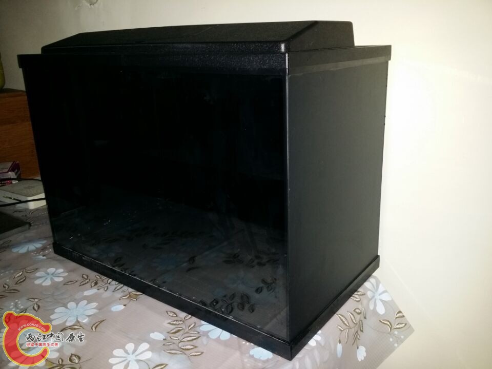 QQ图片20150602112202.jpg