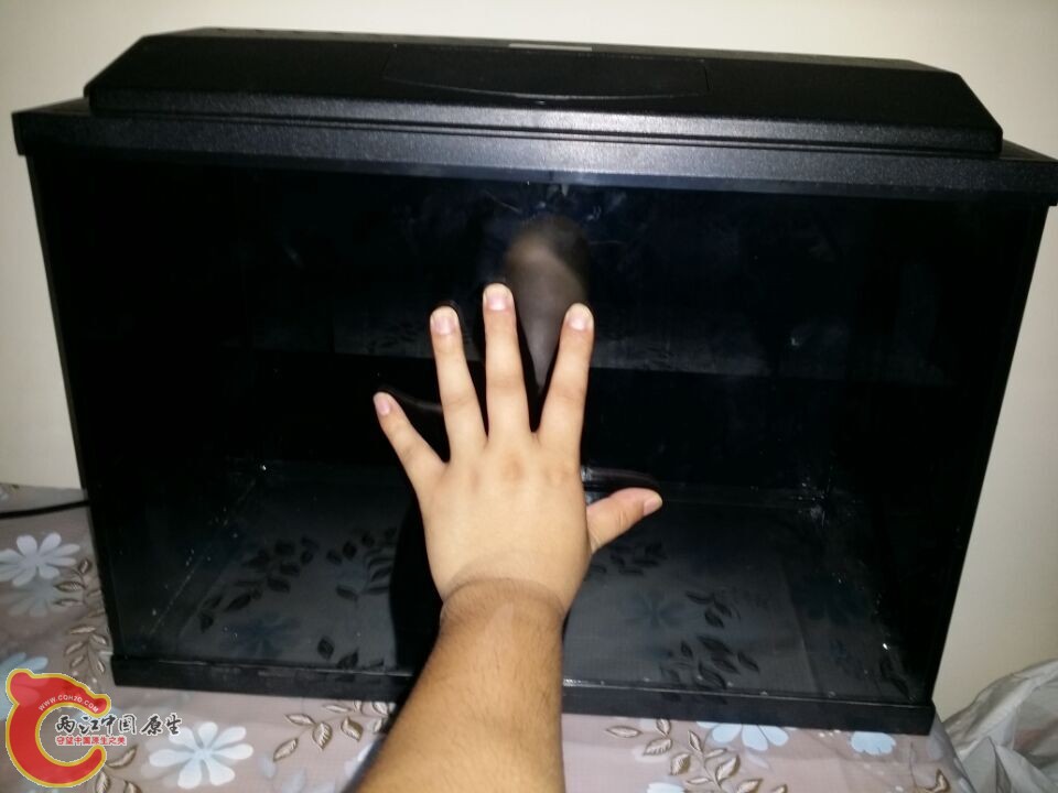 QQ图片20150602112206.jpg
