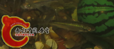 QQ图片20150605190819.png