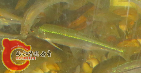 QQ图片20150605190826.png