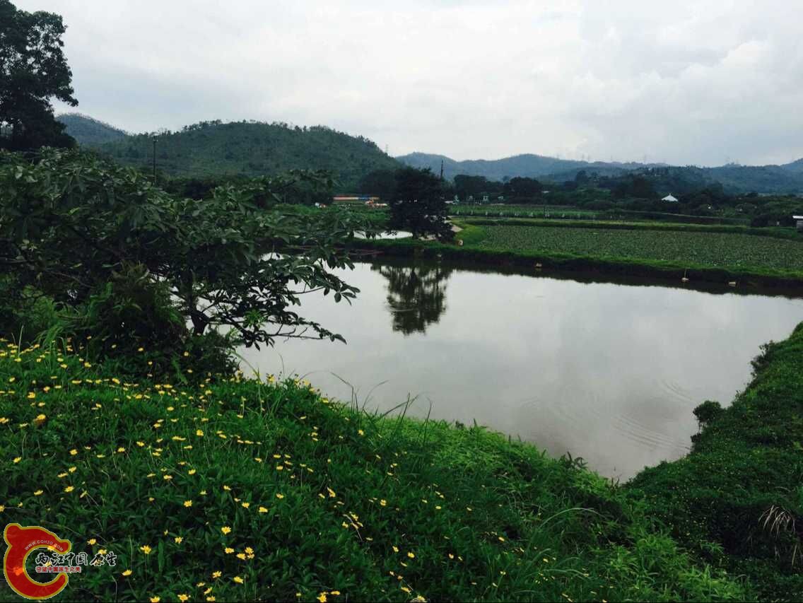 QQ图片20150608111004.jpg