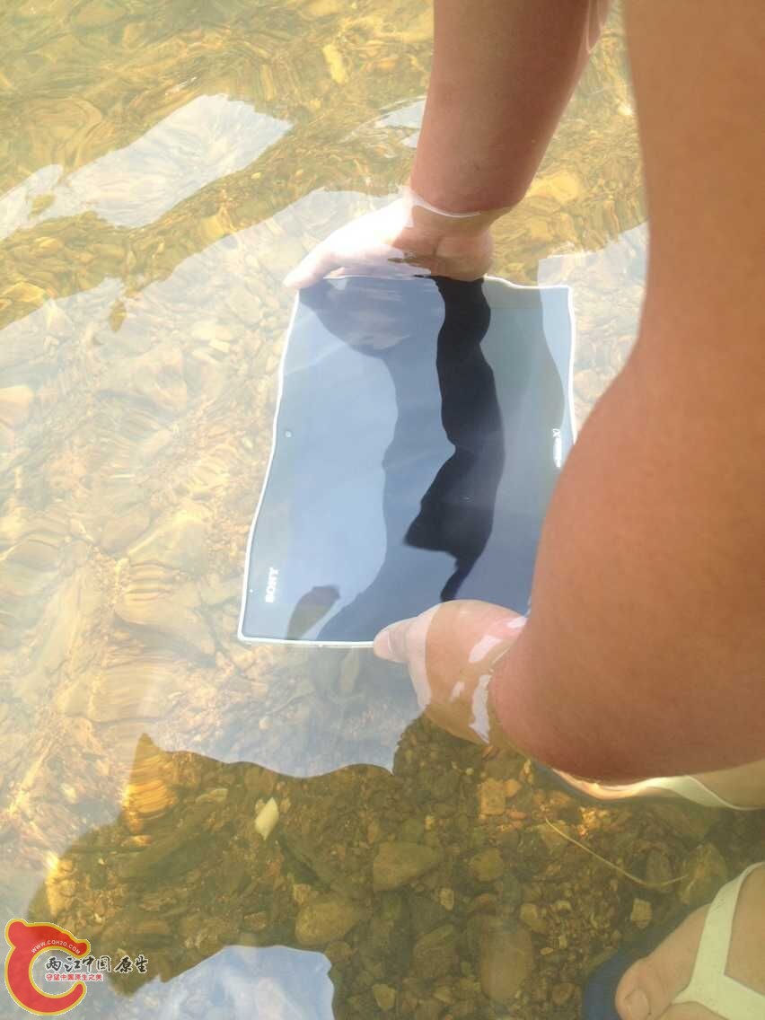 QQ图片20150608103643.jpg
