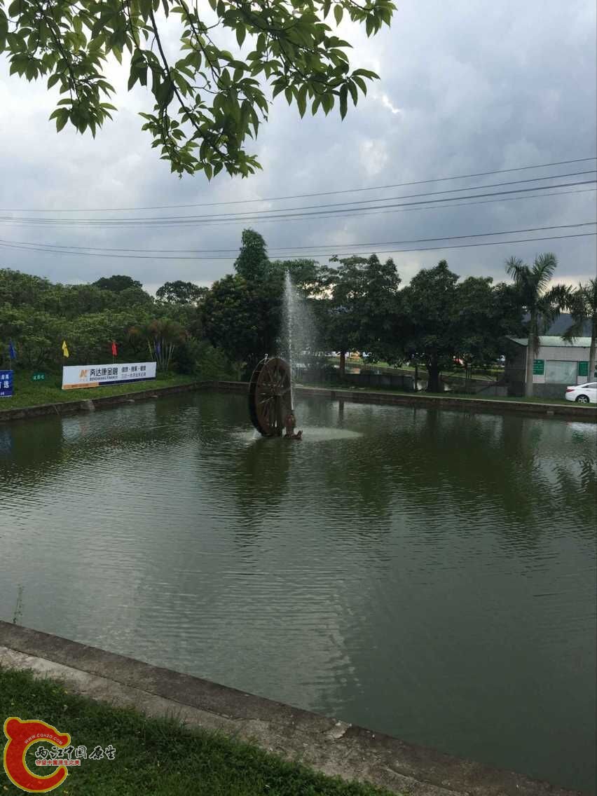 QQ图片20150608112032.jpg