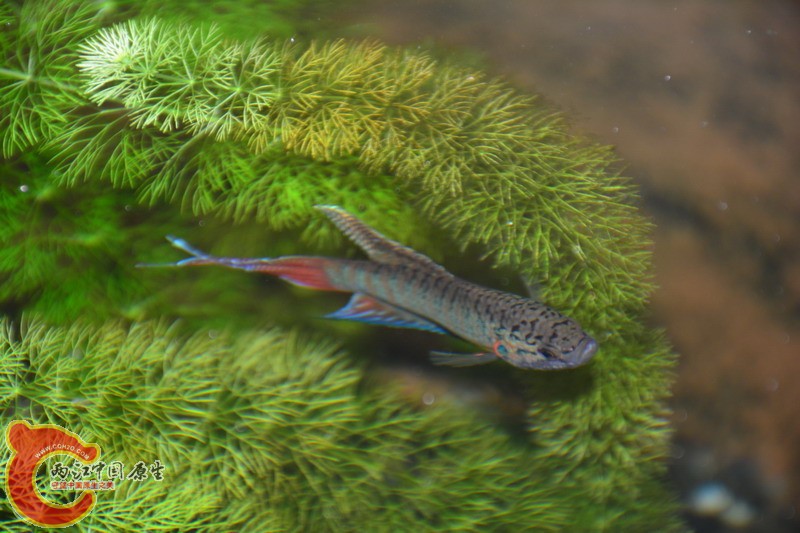 照片 388.jpg