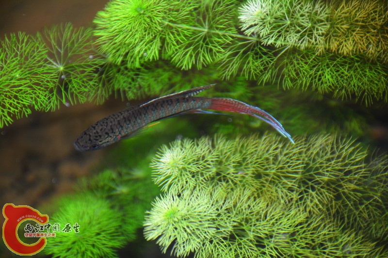 照片 390.jpg