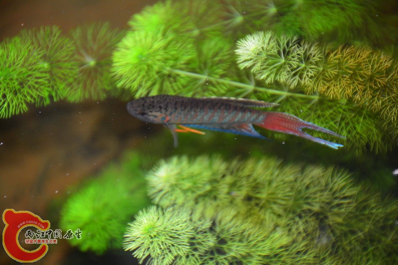 照片 396.jpg