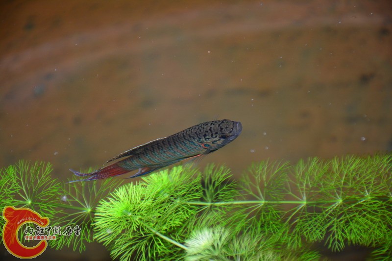 照片 415.jpg