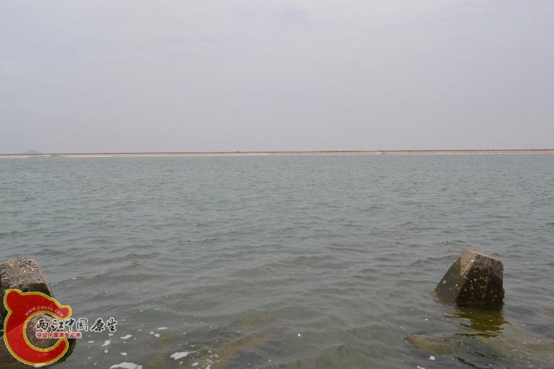 DSC_0294.JPG