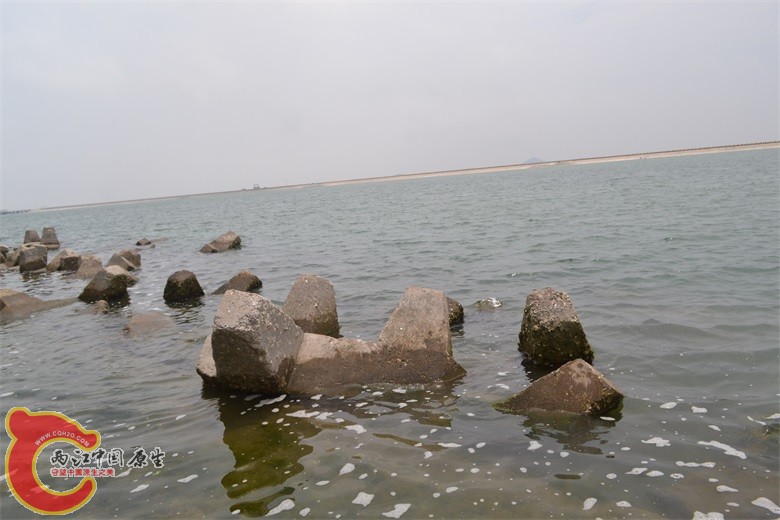 DSC_0295.JPG
