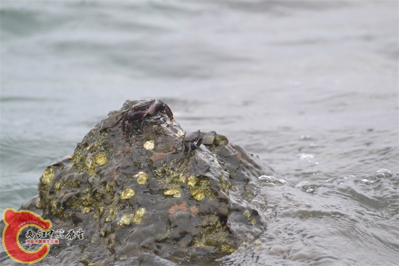 DSC_0140.JPG