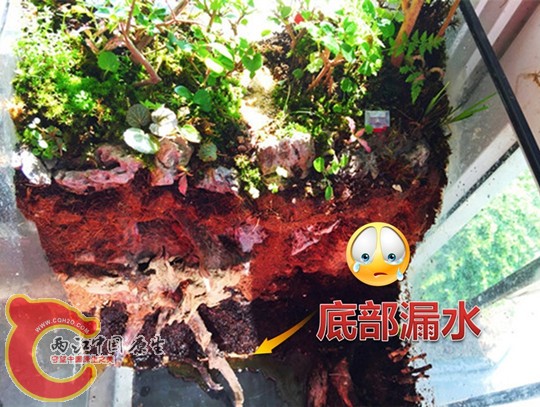 无标题.jpg