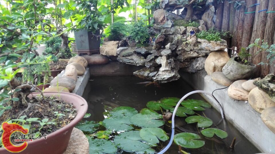 QQ图片20150611115622.jpg