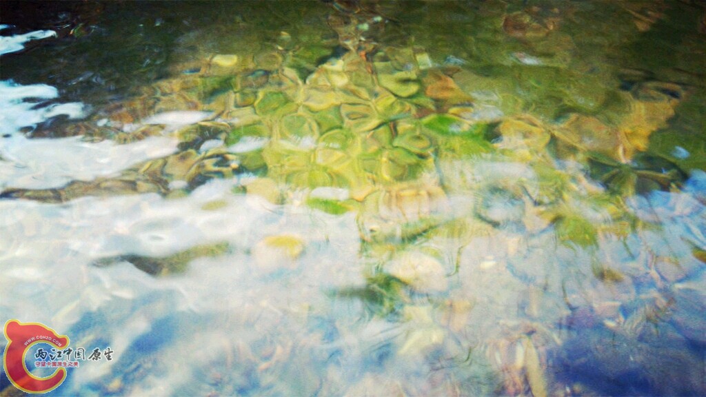 IMG20150611093454_副本.jpg