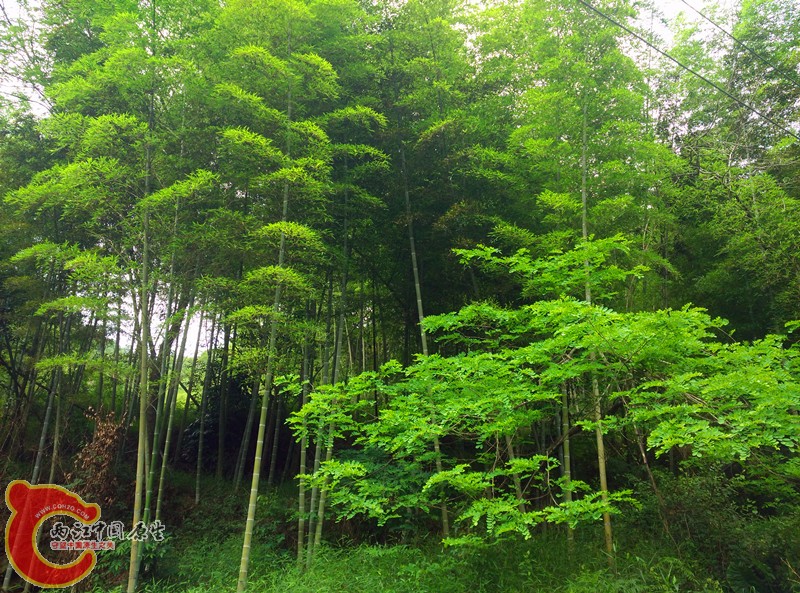 IMG_20150514_150007_副本.jpg