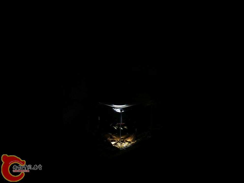 ME9[L1}_4VC{62S(GJR8~FT.jpg