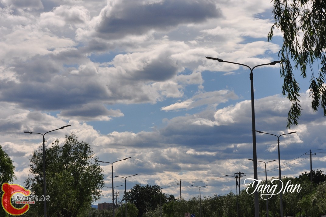 DSC_0004.jpg