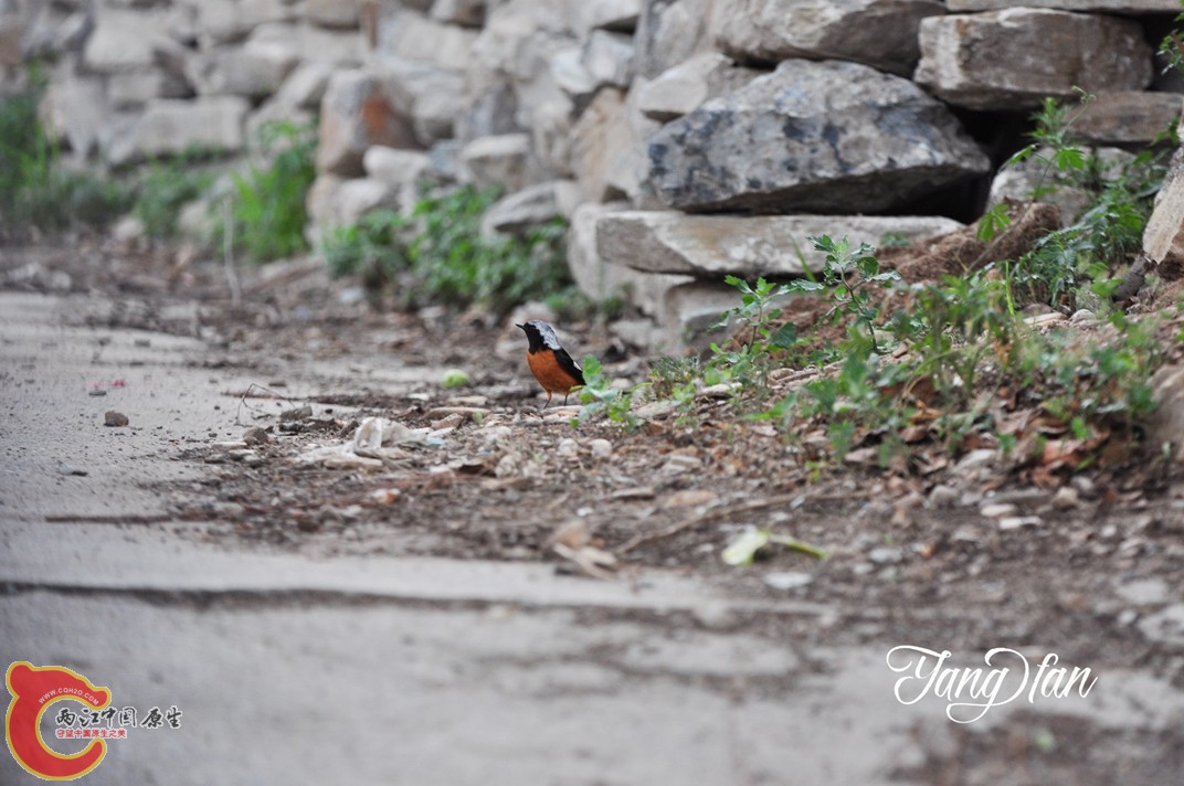 DSC_0146.jpg