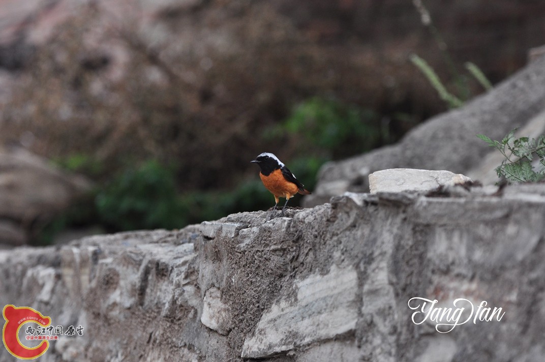 DSC_0149.jpg