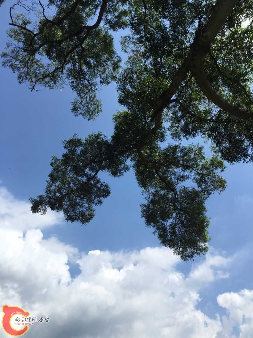 QQ图片20150615113003.jpg