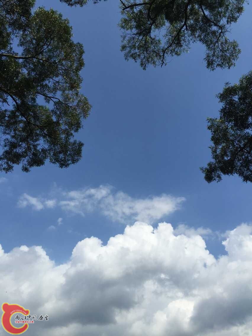 QQ图片20150615113006.jpg