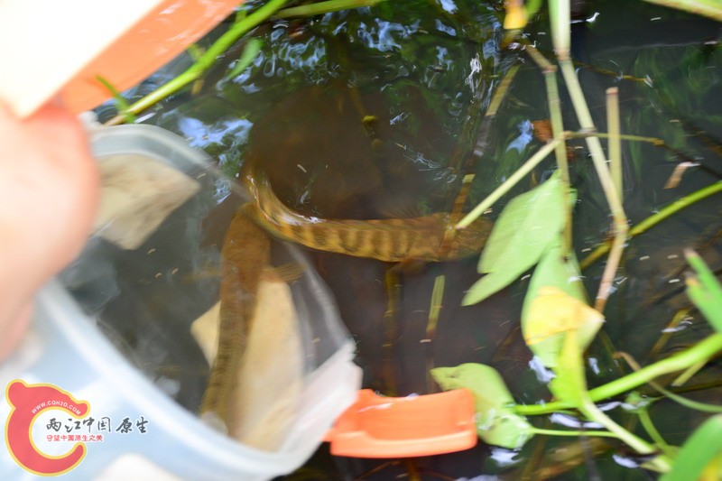 照片 440.jpg