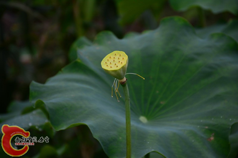 照片 445.jpg