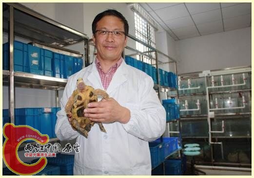 潘连德教授
