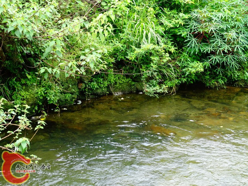 DSC01720.jpg