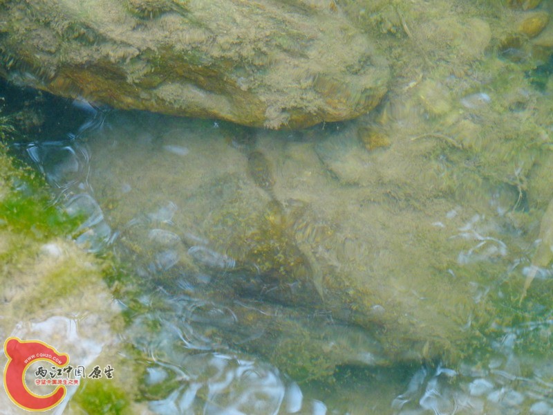DSC01723.jpg