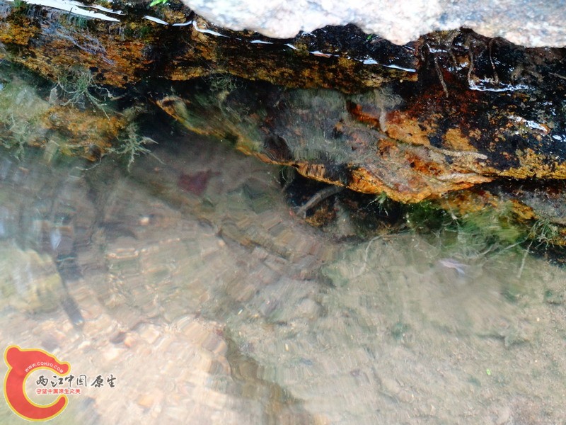 DSC01724.jpg