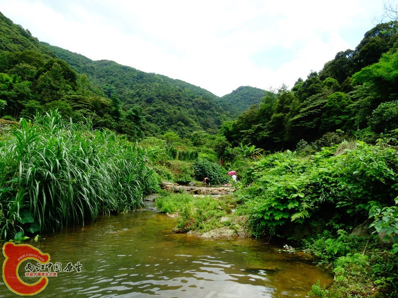 DSC01734.jpg