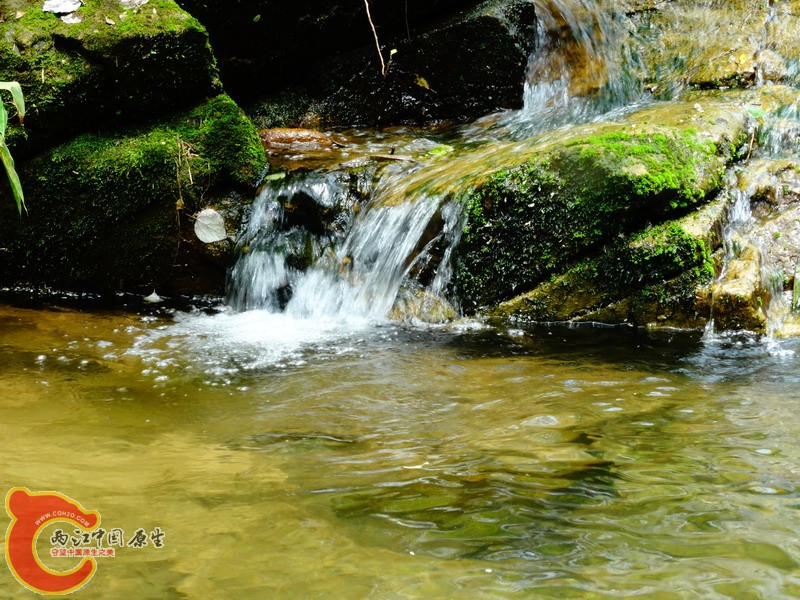 DSC01746.jpg
