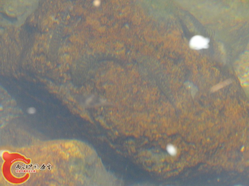 DSC01747.jpg