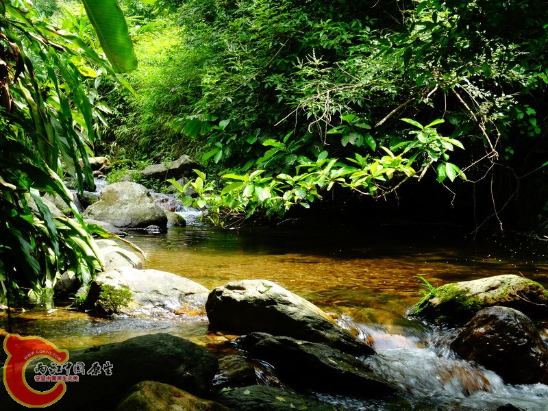 DSC01754.jpg