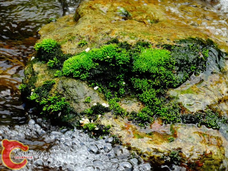 DSC01762.jpg