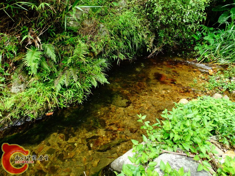 DSC01766.jpg