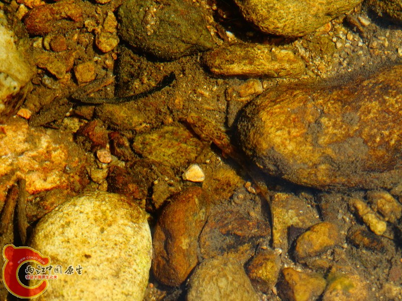 DSC01772.jpg