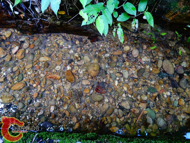 DSC01780.jpg