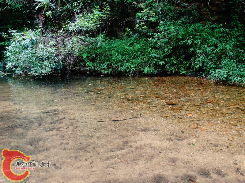DSC01785.jpg