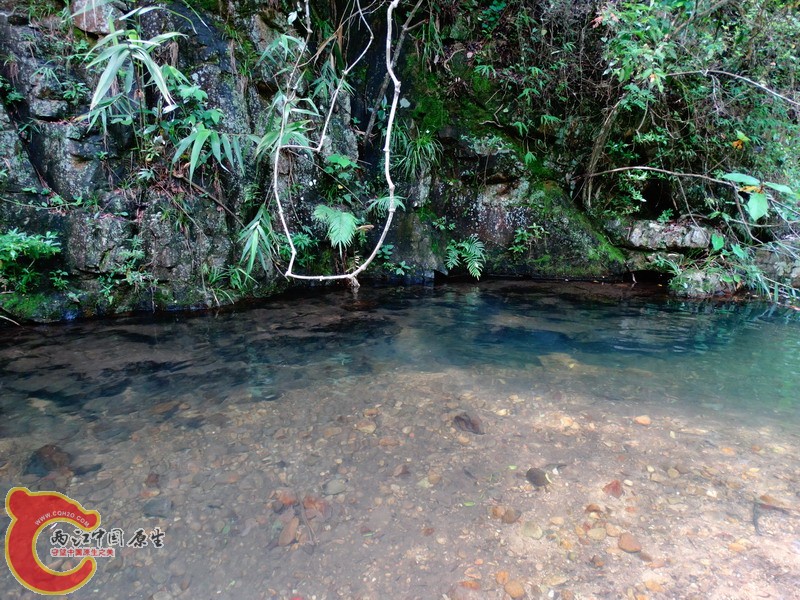 DSC01786.jpg