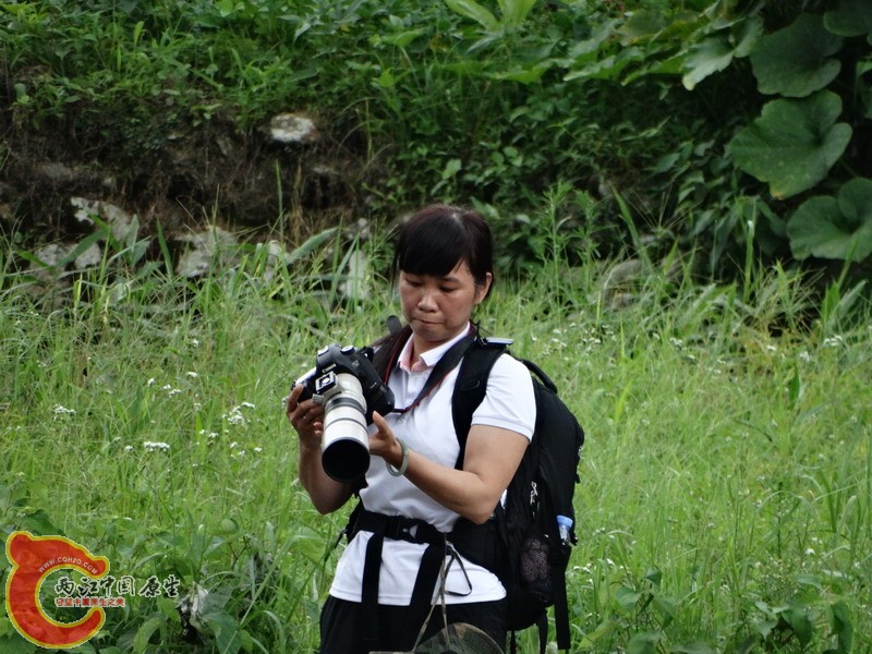 DSC01792.jpg