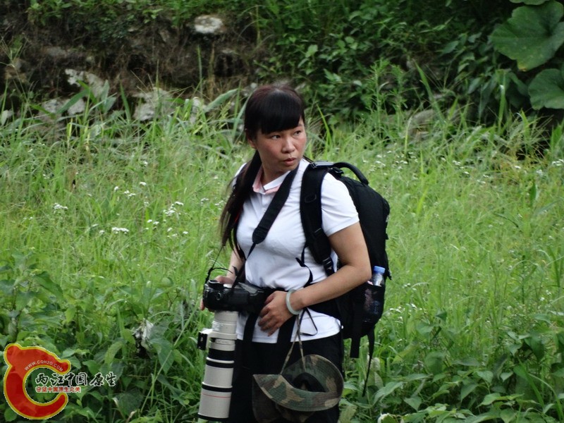 DSC01794.jpg