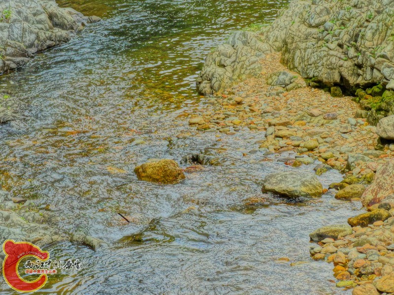 DSC01798.jpg