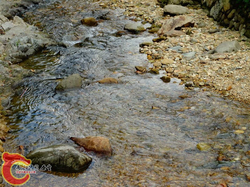 DSC01799.jpg