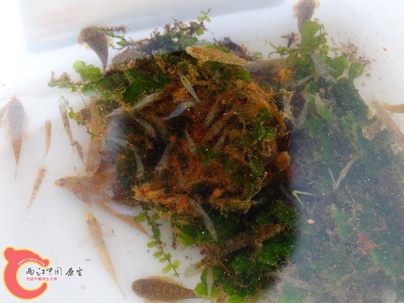 DSC01808.jpg