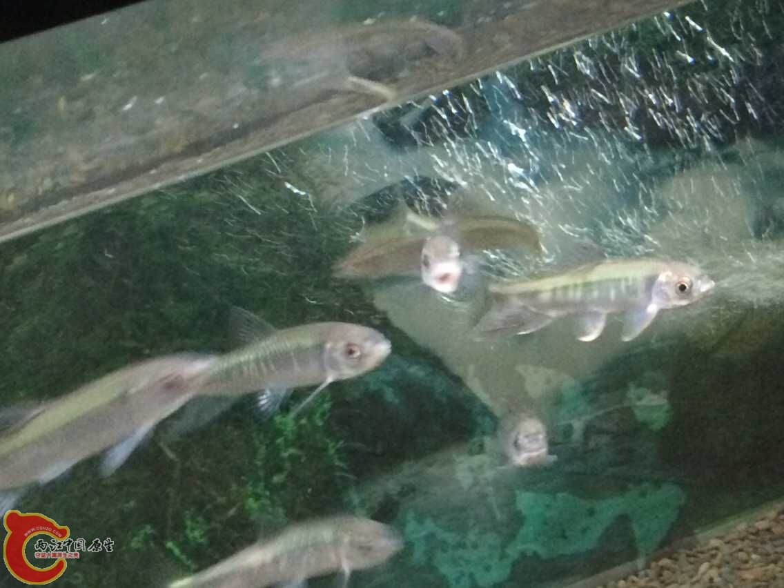 QQ图片20150619223311.jpg