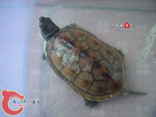2011.6.20.JPG