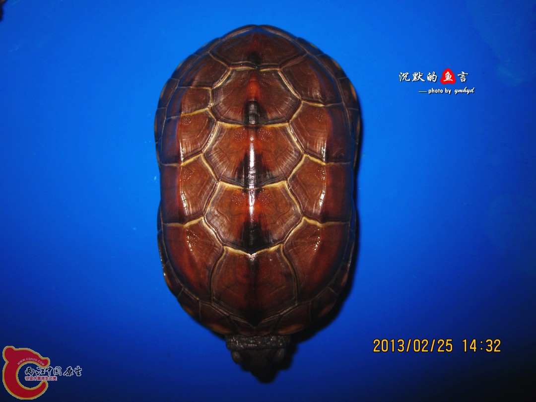 2013.2.25.JPG
