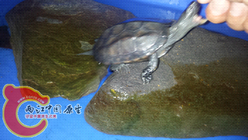 20150521_214421.jpg