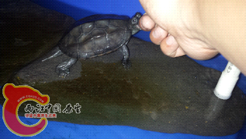 20150521_214443.jpg